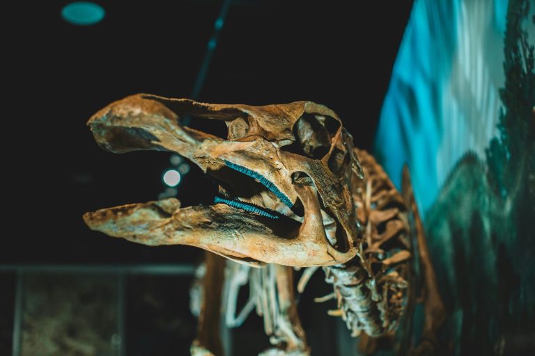 Click-and-Collect Evolution: How Retailers Are Perfecting the Experience